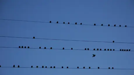 Byg en flytbar skillevæg med trælister og gipsplader