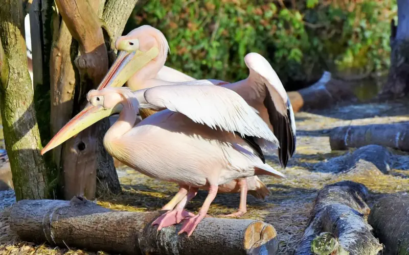 Hella Joof: Børn, moderskab og hendes valg i livet